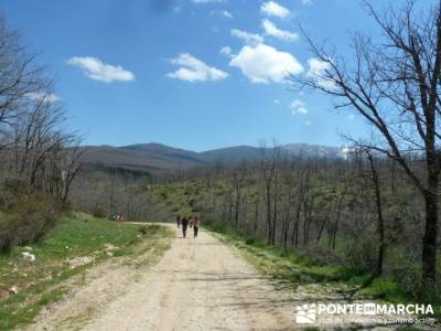 La pradera de la ermita de San Benito;senderismo con niños madrid;marcha en madrid